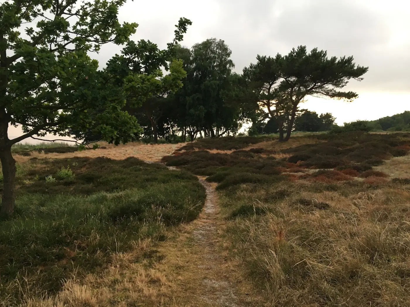 Kyststi på Bornholm om foråret