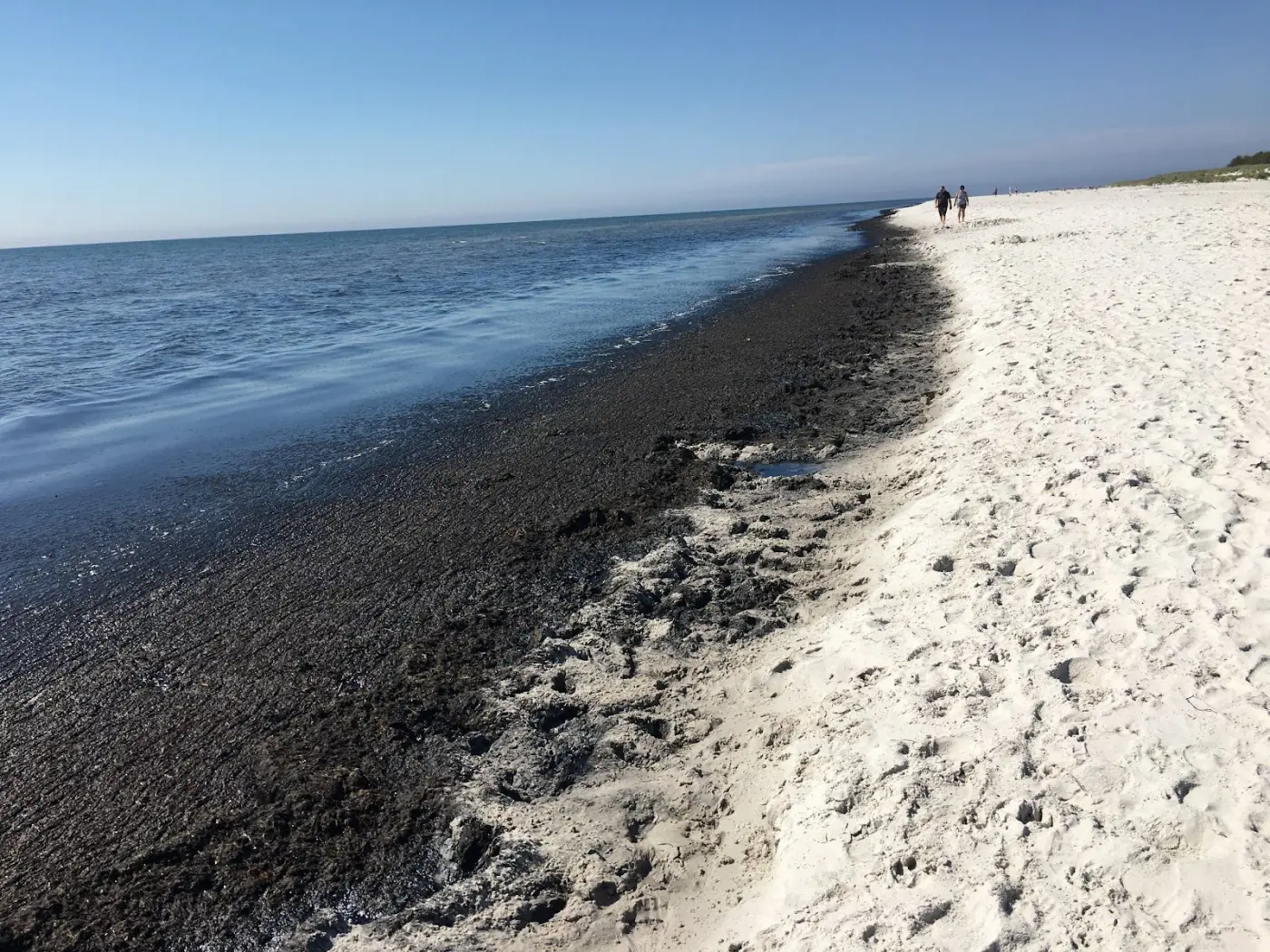 Playa de arena de Dueodde en Bornholm