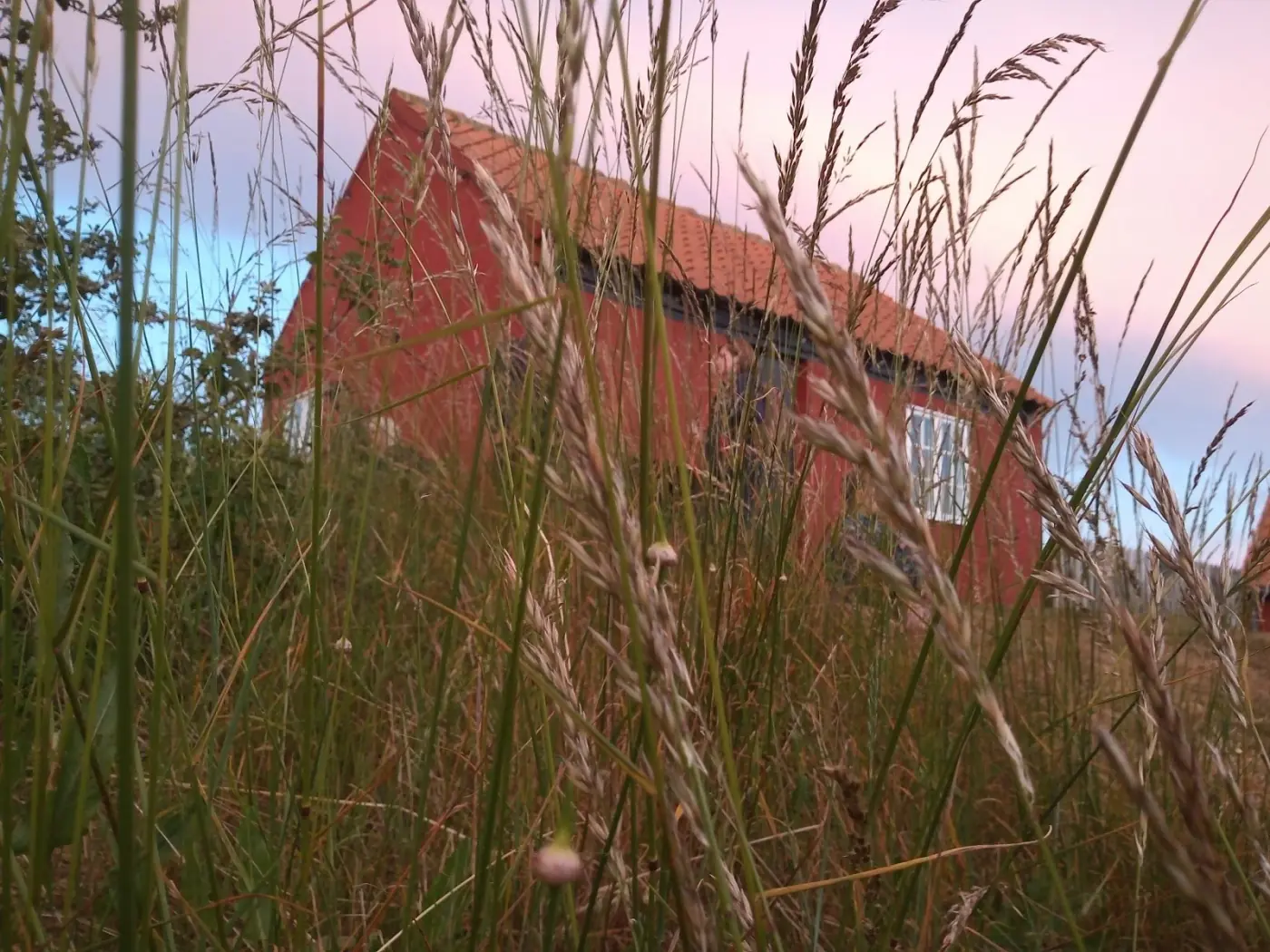 Forår på Bornholm